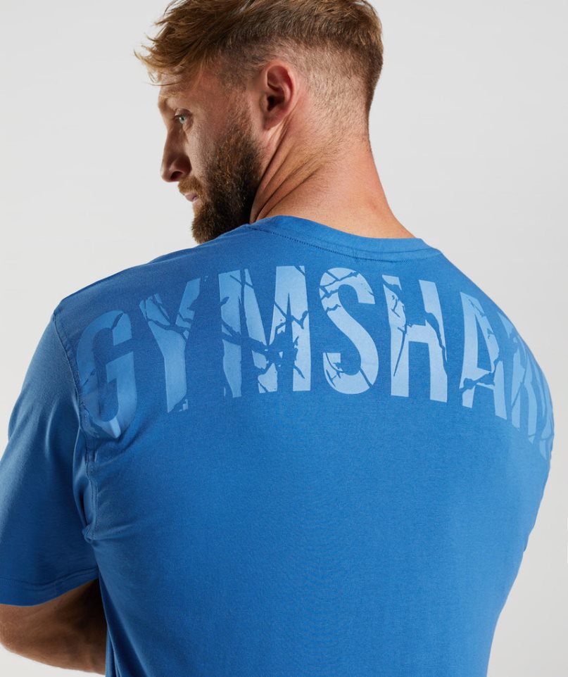 Koszulki Gymshark Power Męskie Niebieskie | PL 691ISX